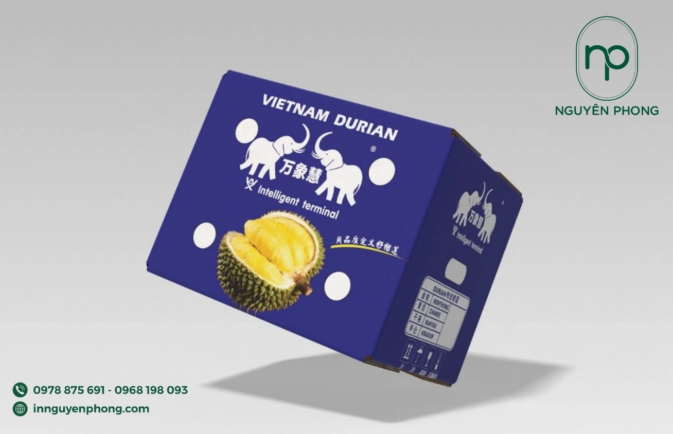 Thùng carton đựng sầu riêng in hình minh họa